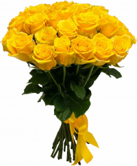 Розы Эквадор желтые Розы Эквадор желтые