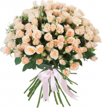 Кустовые кремовые розы